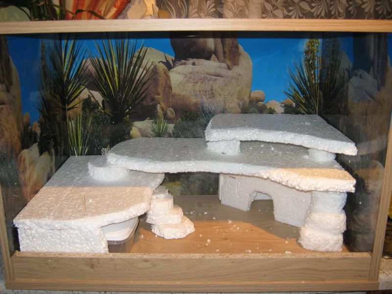 Another fake build for a Leopard Gecko Reptile Forums