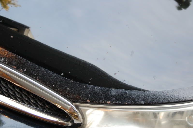 7-31-2009010.jpg