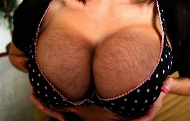 HairyBreastsinPolkaPinkBikini_thumb.jpg