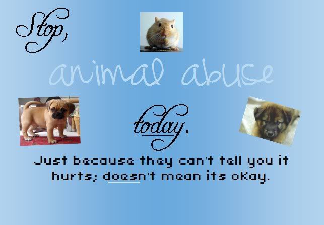 stop animal cruelty quotes. stop animal abuse Pictures