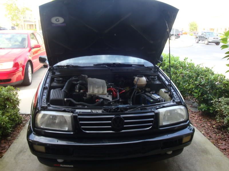 mk3 jetta 2.0 VW Vortex Volkswagen Forum