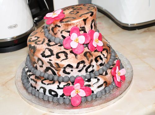  photo mybdaycake1_zps85dc0592.jpg