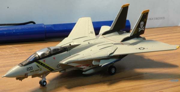 F14Apic1.jpg