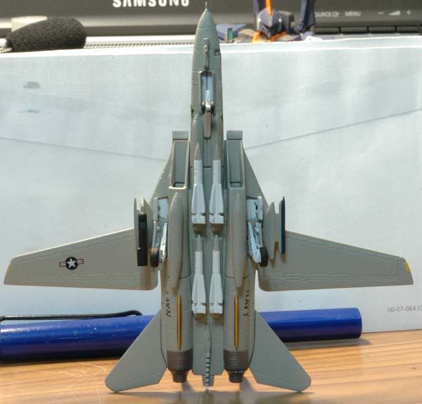 F14Apic4.jpg