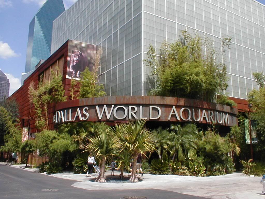 Dallas World Aquarium Discount Tickets 2013