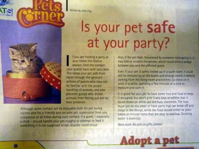 IsYourPetSafeatyourPartySundayTimes.jpg Is your pet SAFE at your party? picture by vegancatsg