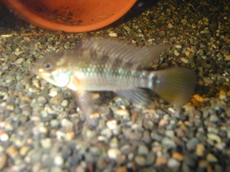 P1010015.jpg