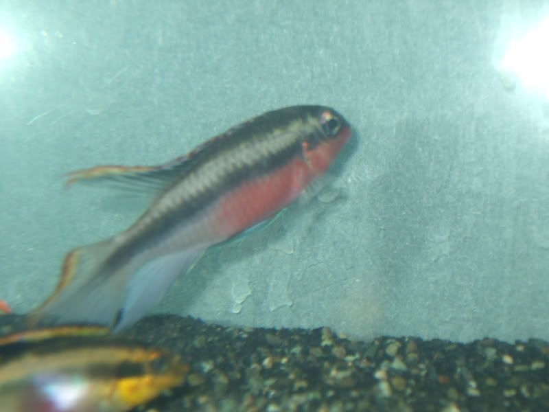 camera017.jpg