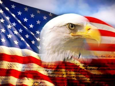 to the patriotic bald eagle. Whatever your preference in birds,