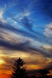 IMGP1478ps_resize.jpg image by DeepThrust