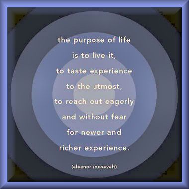 D52The-Purpose-Of-Life-Is-To-Live-I.jpg