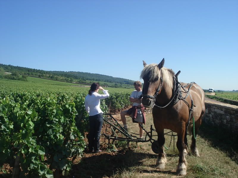 bourgogne