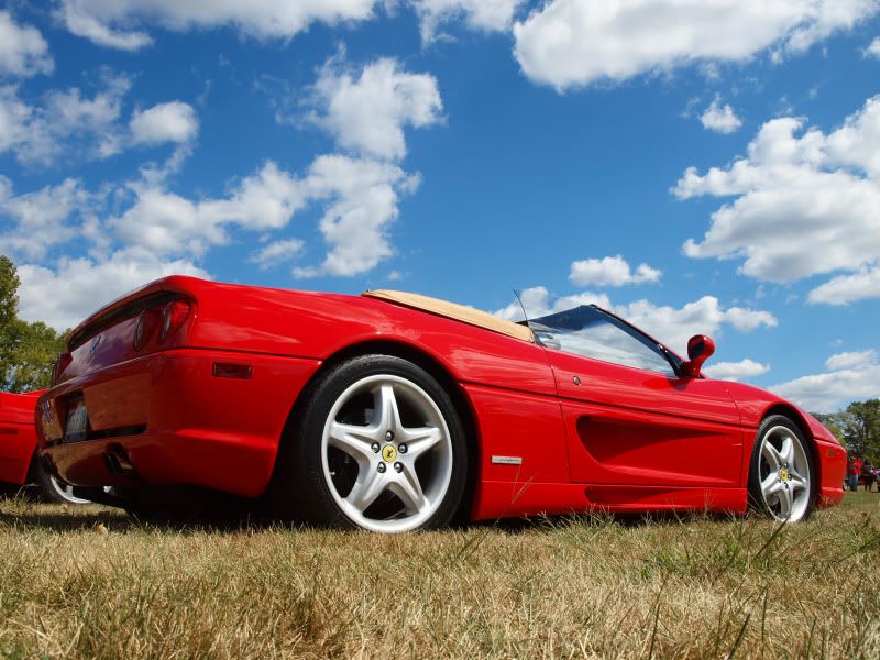 ferraribase.jpg