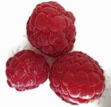  amaranth 