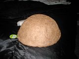 cocohut001.jpg image by shadraak