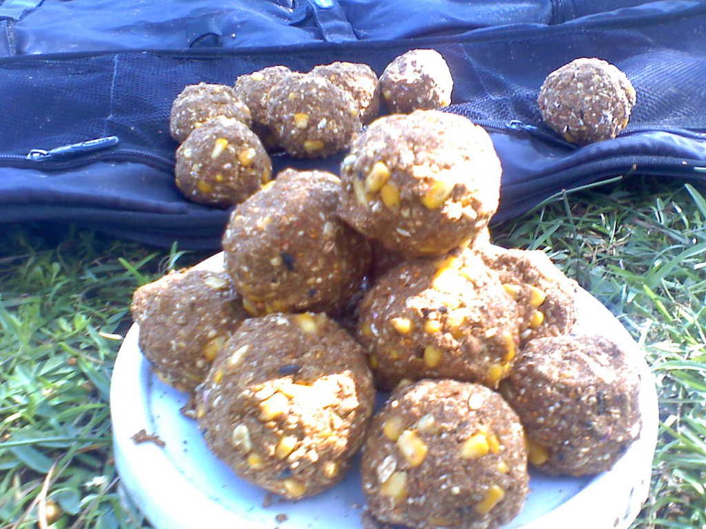 tilapia, anyone fish for them? Texas Fishing Forum