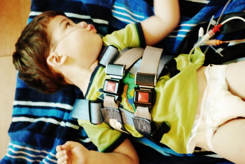 Adult+Bus+Harness harness strap question - Car Seat.Org - Carseat, Automobile & Child ...