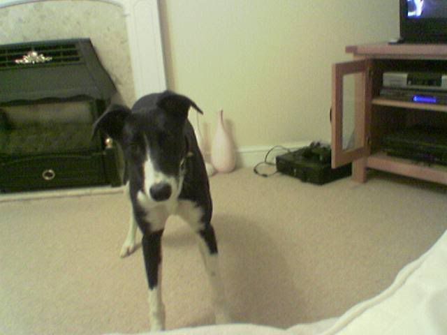 Image123.jpg