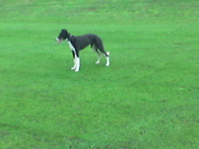 Image127.jpg
