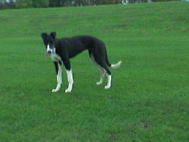Image130.jpg