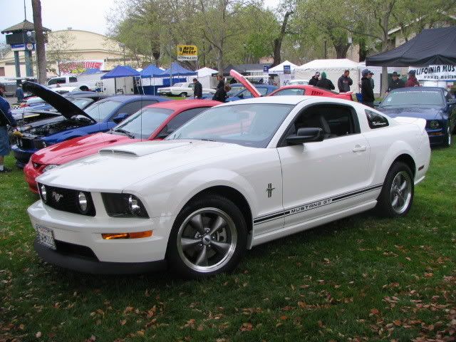 Picture161.jpg