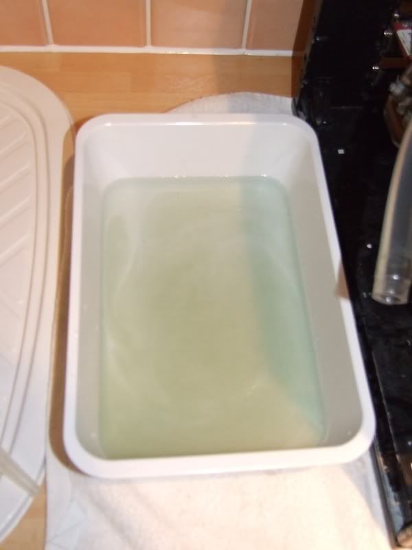 DSCF2828.jpg