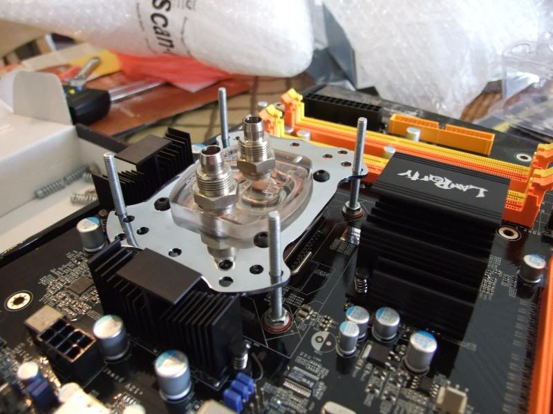 DSCF2868.jpg
