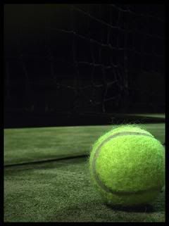 tennis ball Pictures, Images and Photos