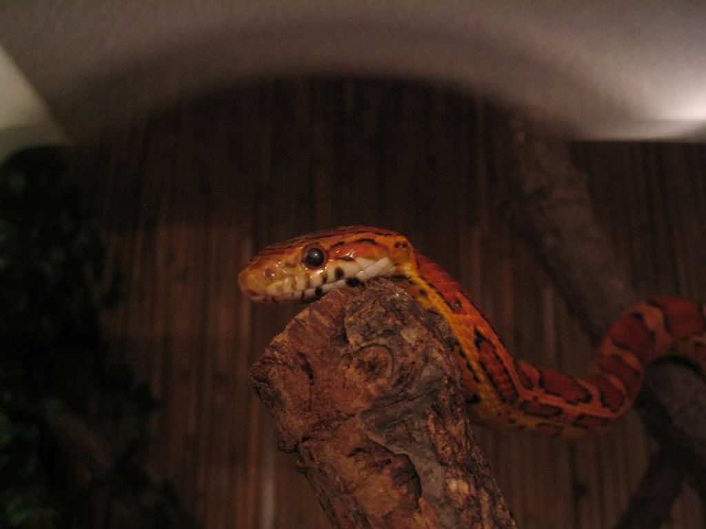 IMG_0002.jpg
