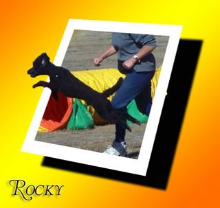 Rocky6-oob.jpg