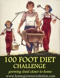 100 foot diet