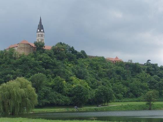 Slika