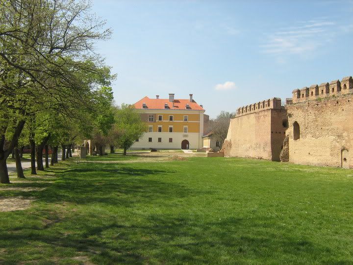 Slika