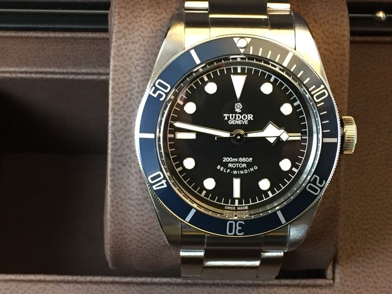 tudor 79220
