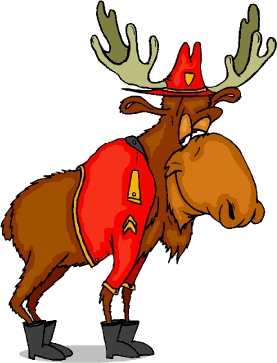 canadian moose Pictures, Images and Photos
