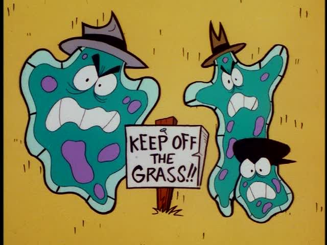 ppg317956.jpg