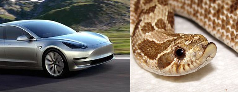 [Image: whatswrongwithyourface_zpsuiwnfdlp.jpg]