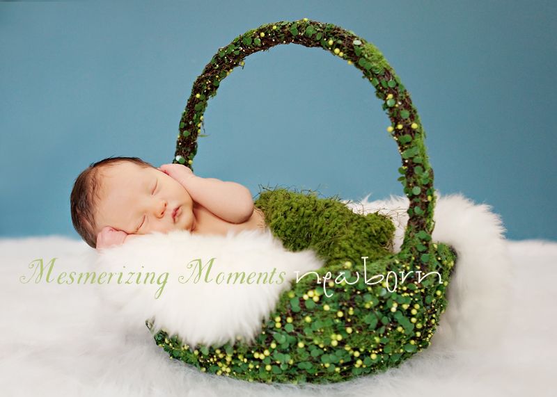 IMAGE: http://i49.photobucket.com/albums/f272/swimchicjen/GB_blog2.jpg