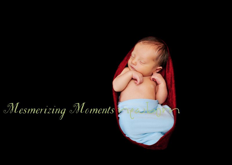 IMAGE: http://i49.photobucket.com/albums/f272/swimchicjen/Griff_blog4.jpg