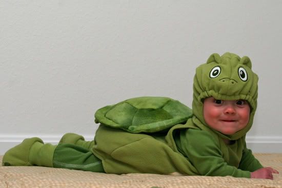 IMAGE: http://i49.photobucket.com/albums/f272/swimchicjen/Turtle7_sm.jpg