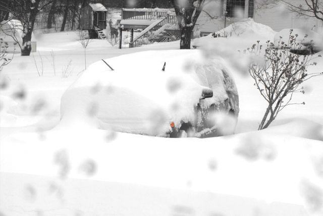 snow2013012_zpsdf190588.jpg