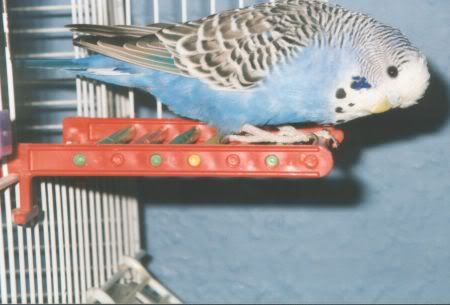 Pepsi046.jpg