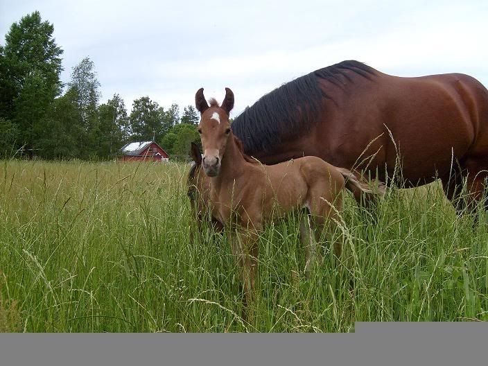 Filippa07-06-14medfl009.jpg