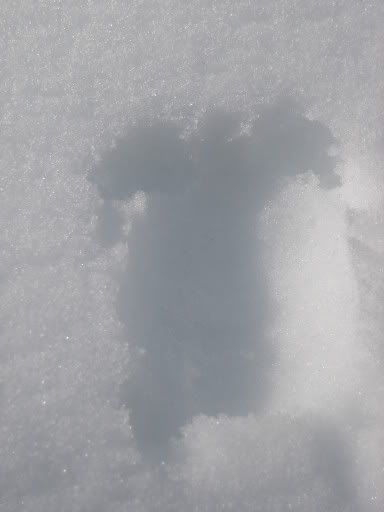 http://i49.photobucket.com/albums/f275/asdf2468/Snow%20Turtles/db72202b.jpg