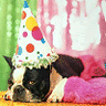 1885.gif birthday image by loves2shop205