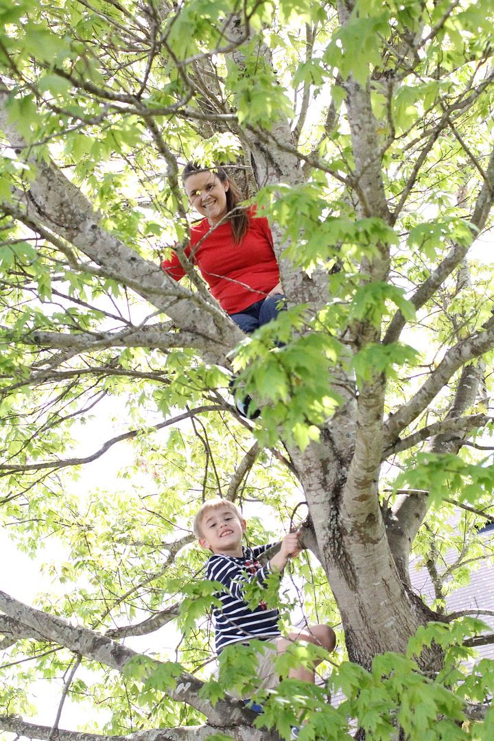 climbing trees