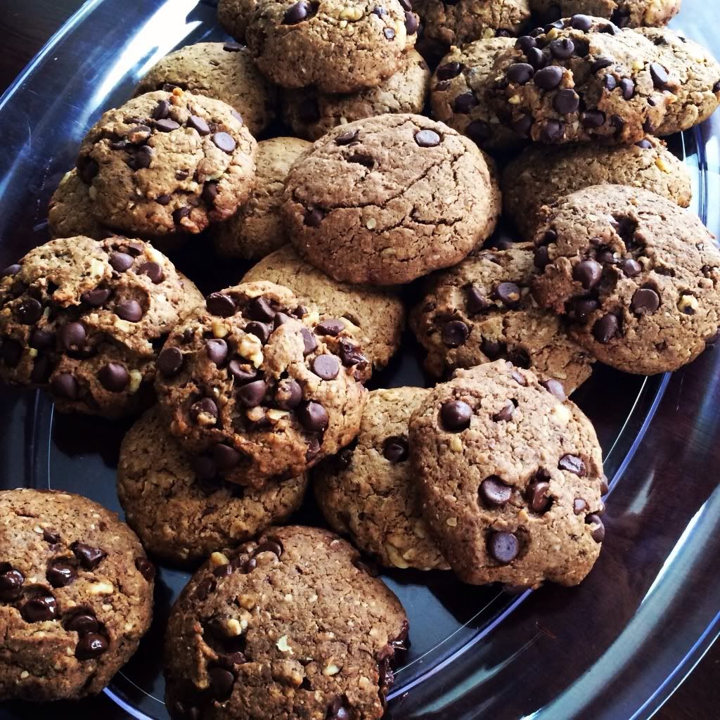 chocolate chip lactation cookies