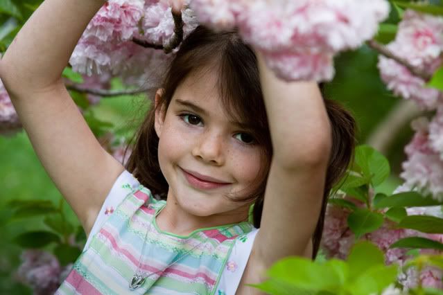 IMAGE: http://i49.photobucket.com/albums/f278/jasonszion/photos/IMG_8129-Edit.jpg