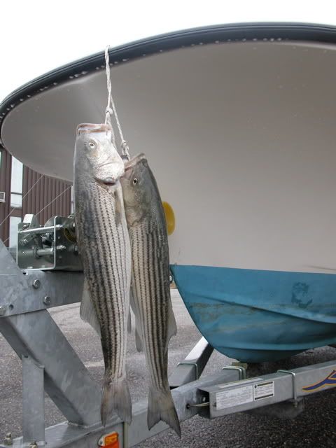 DSCN3870_1.jpg