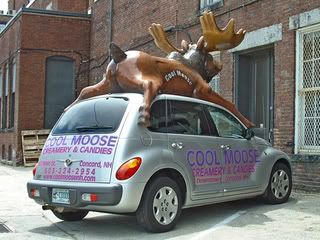 Moose Car